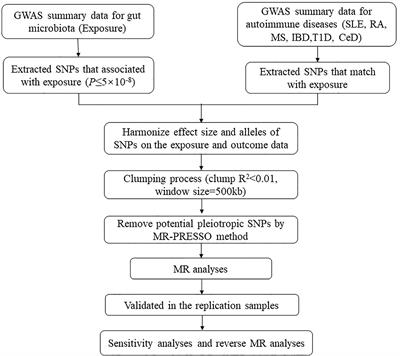 Causal Relationship Between Gut Microbiota and Autoimmune Diseases: A Two-Sample Mendelian Randomization Study